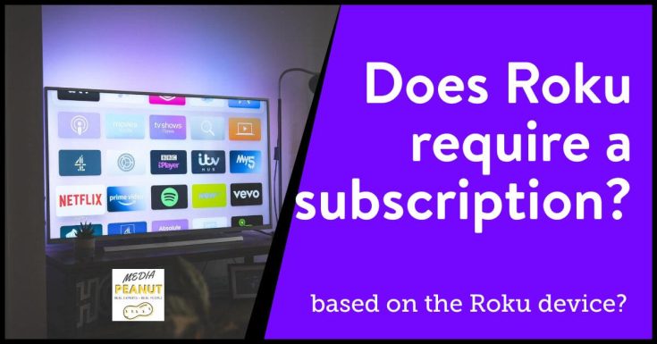 What Does Roku Cost Per Month? (Subscription Fees & Charges) 2024