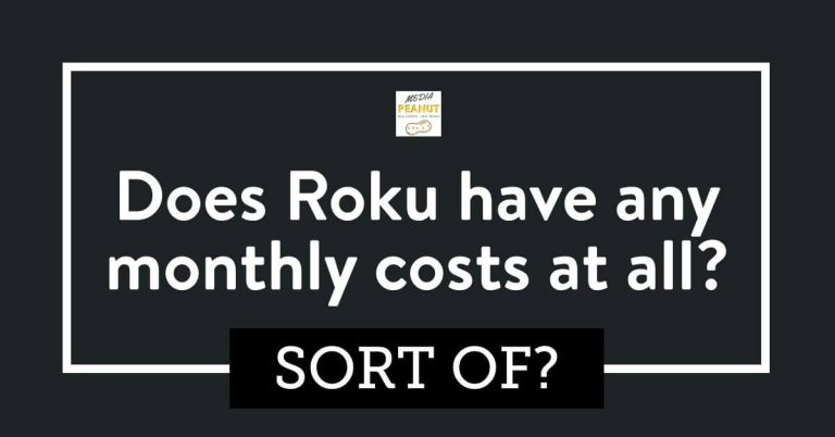 What Does Roku Cost Per Month? (Subscription Fees & Charges) 2024