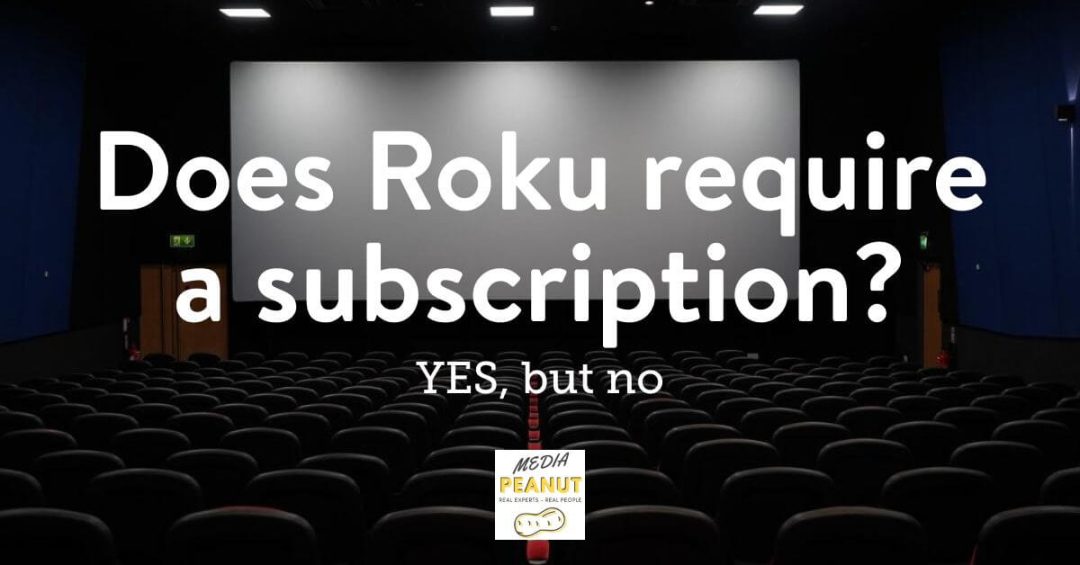 What Does Roku Cost Per Month? (Subscription Fees & Charges) 2024
