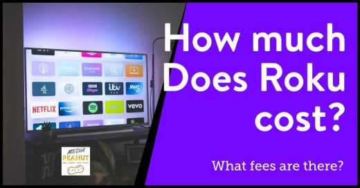 How Much Does Roku Tv Cost Per Month