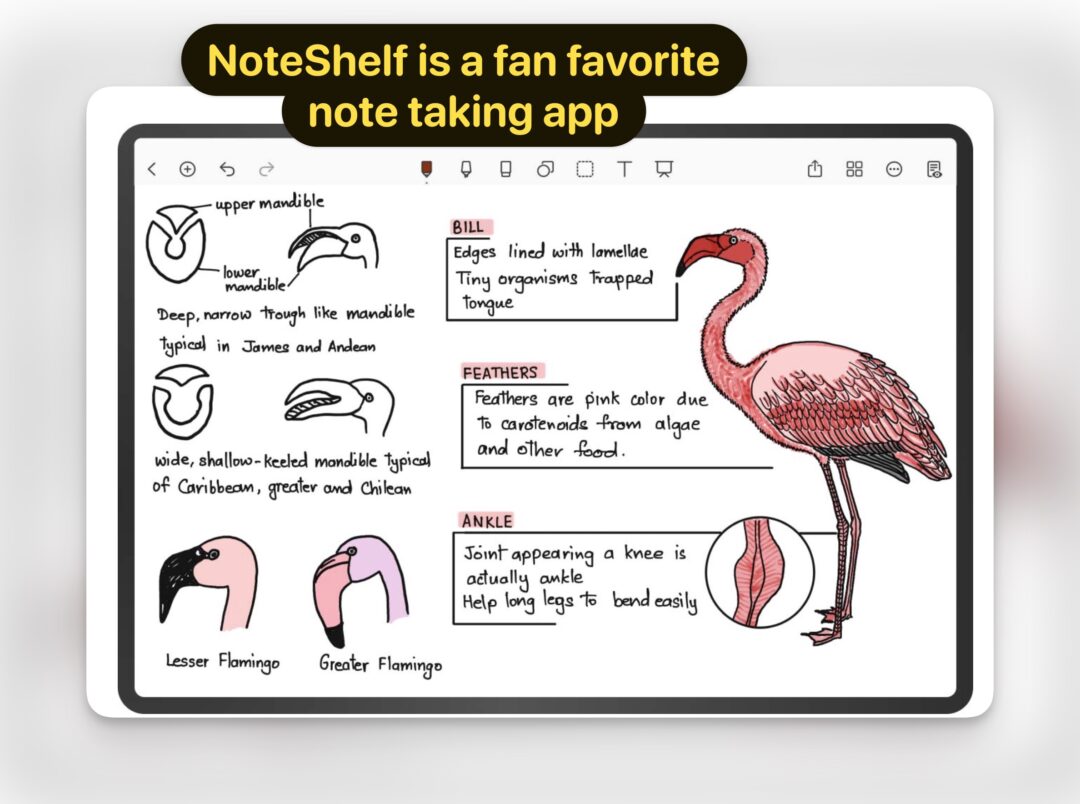 Best Note-Taking Apps For Samsung Galaxy And Pixel Devices (Android ...